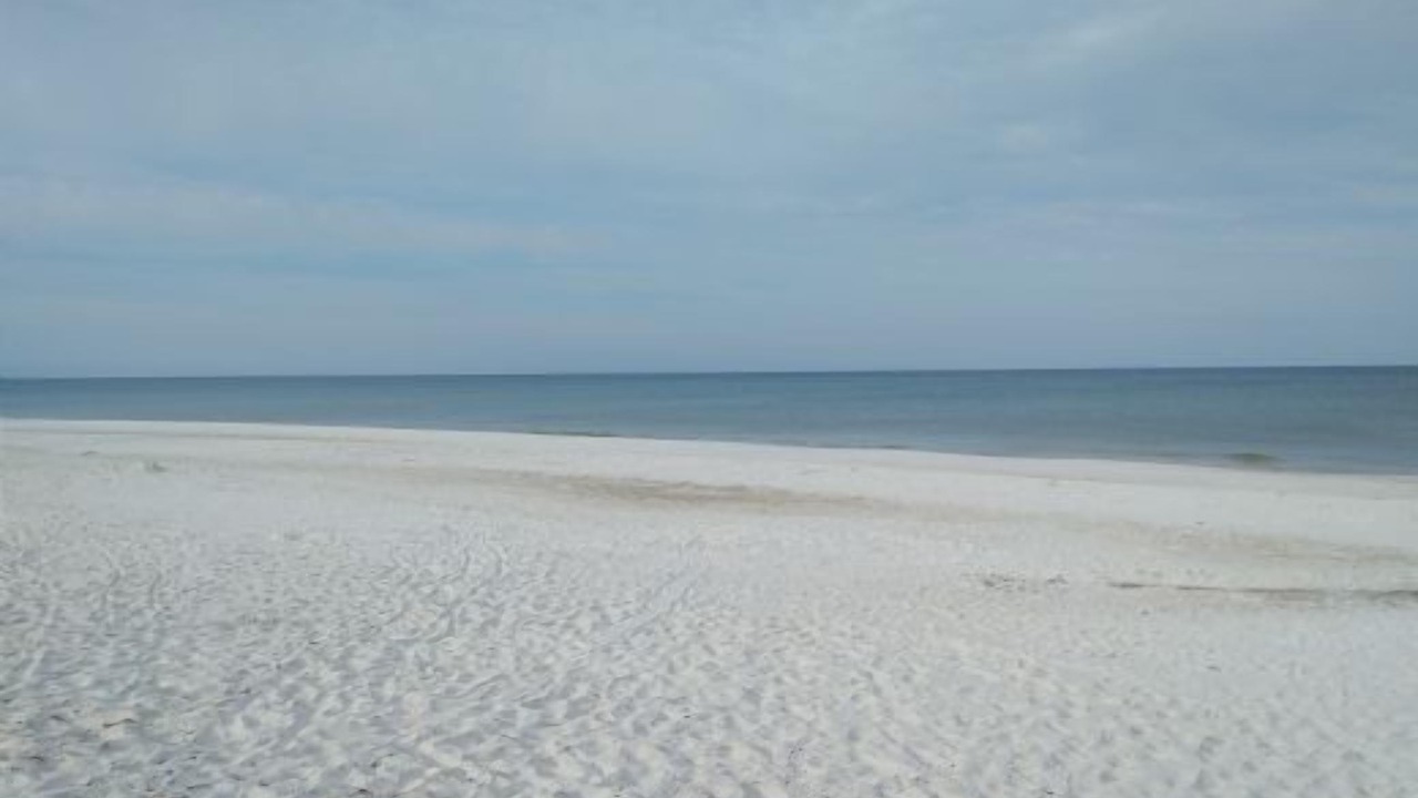 Photo of Others in Cape San Blas