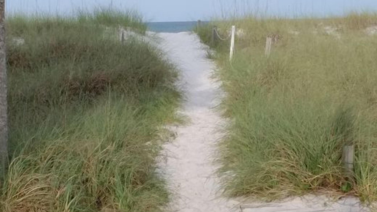 Photo of Others in Cape San Blas