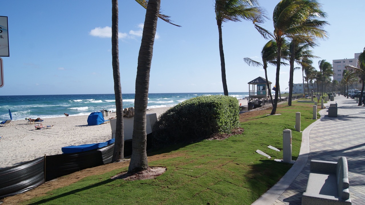 Photo of Others in Deerfield Beach