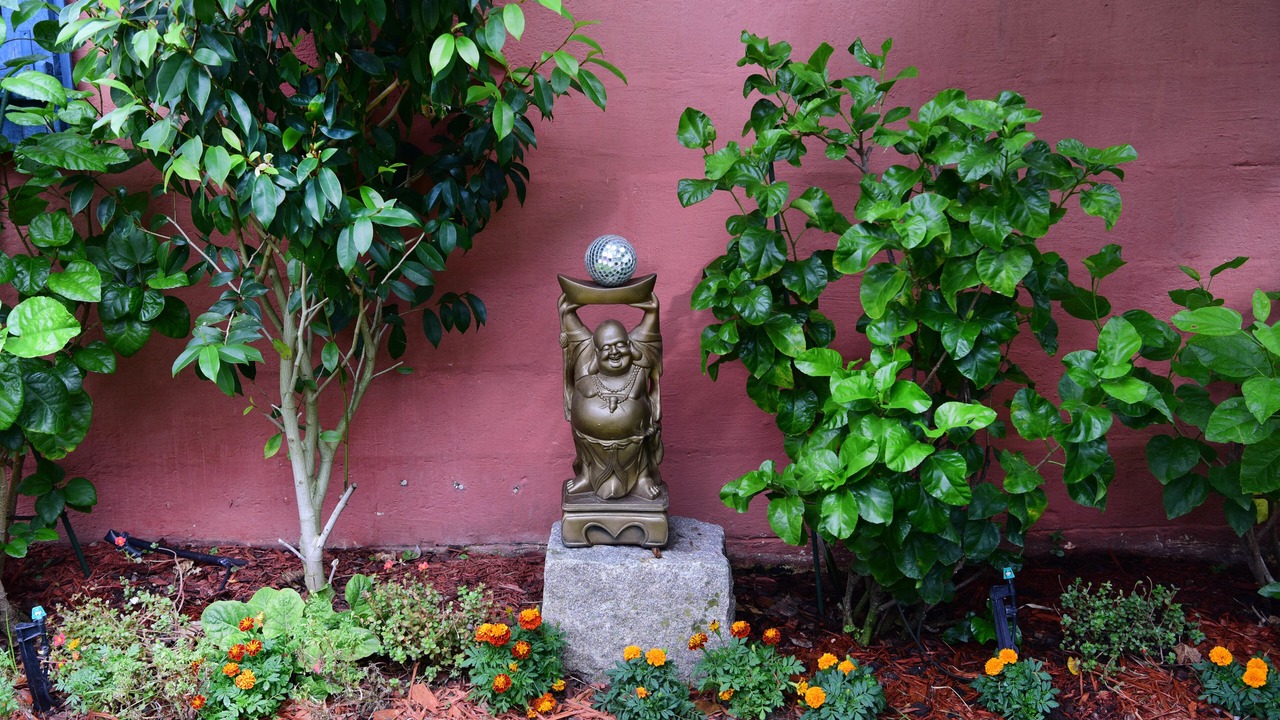 Photo of Outdoor in Faubourg Marigny