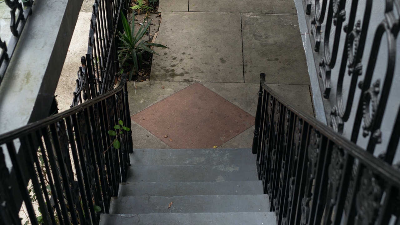Photo of Outdoor in New Orleans