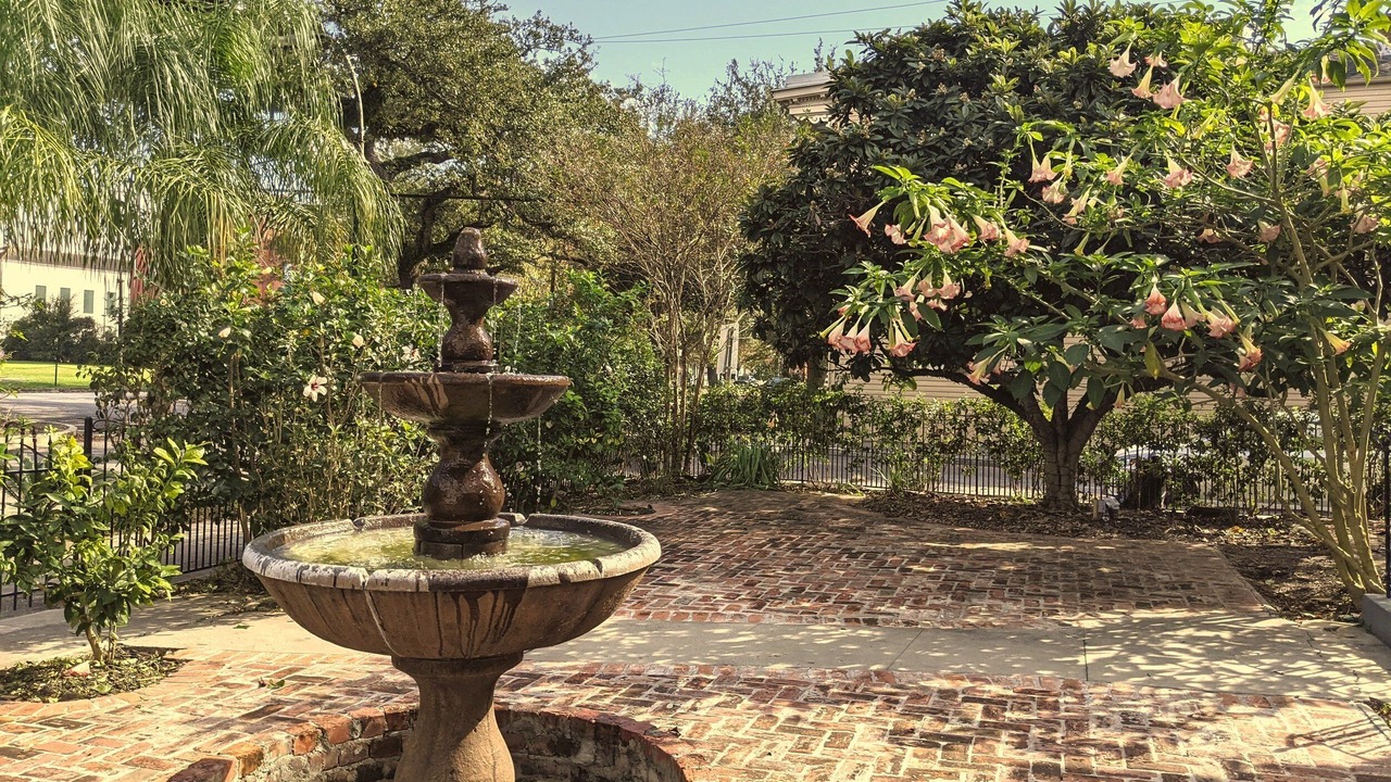 Photo of Outdoor in New Orleans
