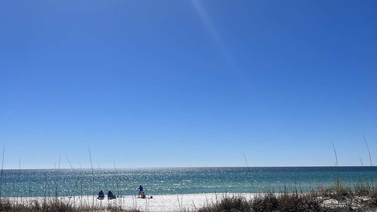 Photo of Others in Panama City Beach
