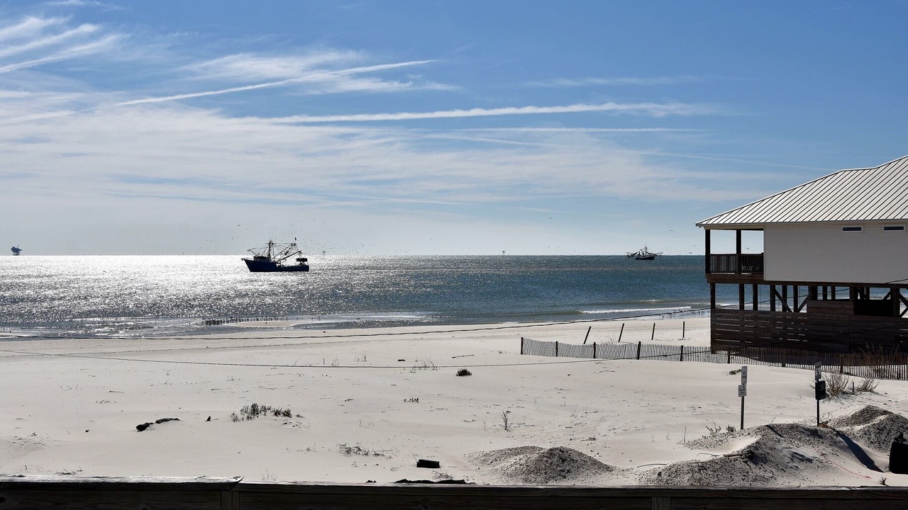 Photo of Others in Dauphin Island