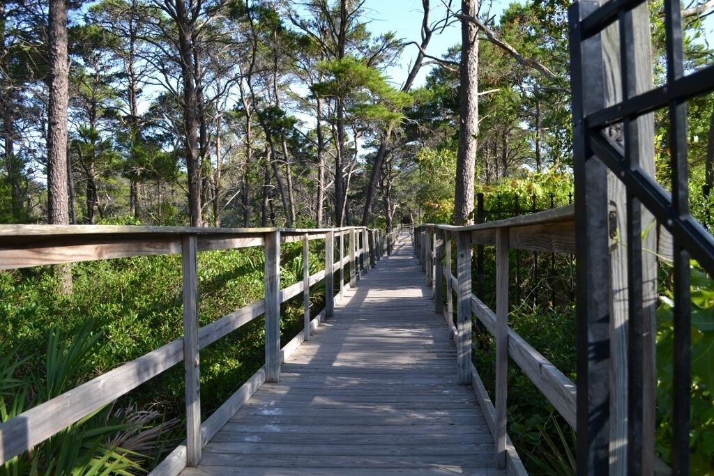 Photo of Others in Santa Rosa Beach