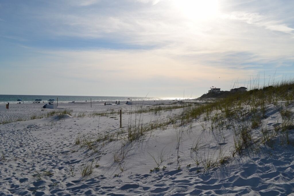 Photo of Others in Santa Rosa Beach