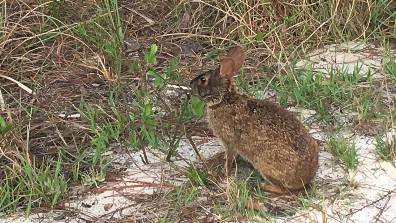 Photo of Outdoor in Upper Grand Lagoon