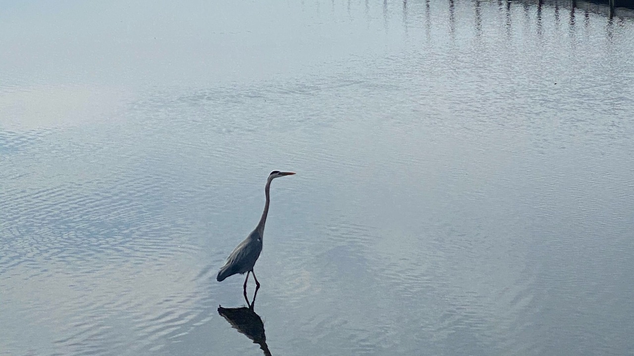 Photo of Outdoor in Upper Grand Lagoon