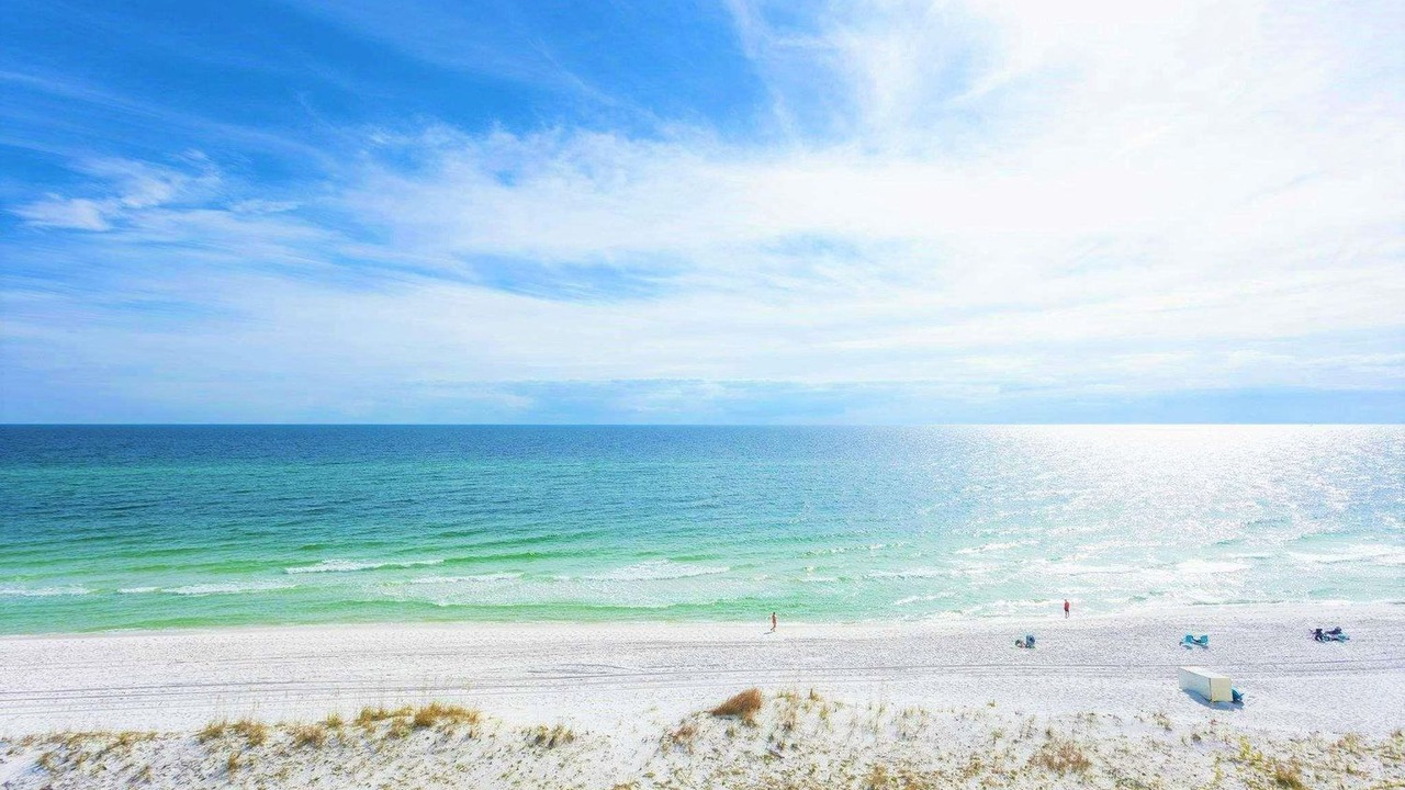 Photo of Others in Pensacola Beach