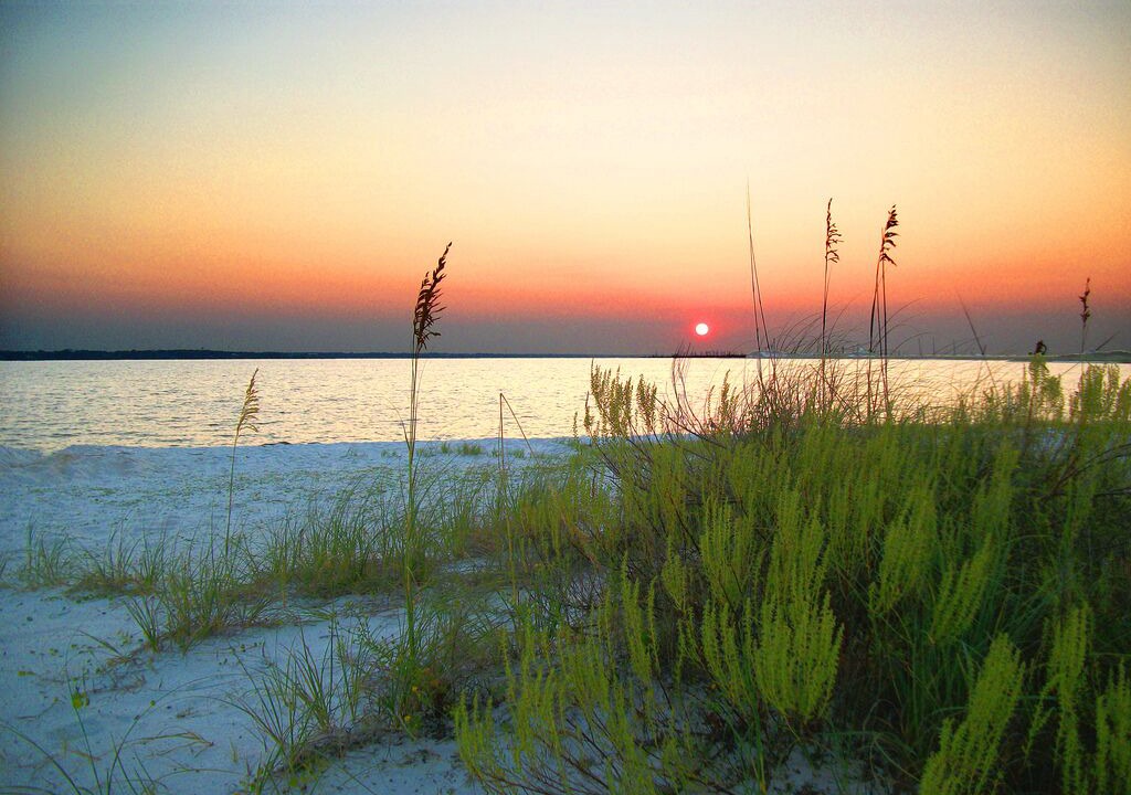 Photo of Others in Santa Rosa Beach