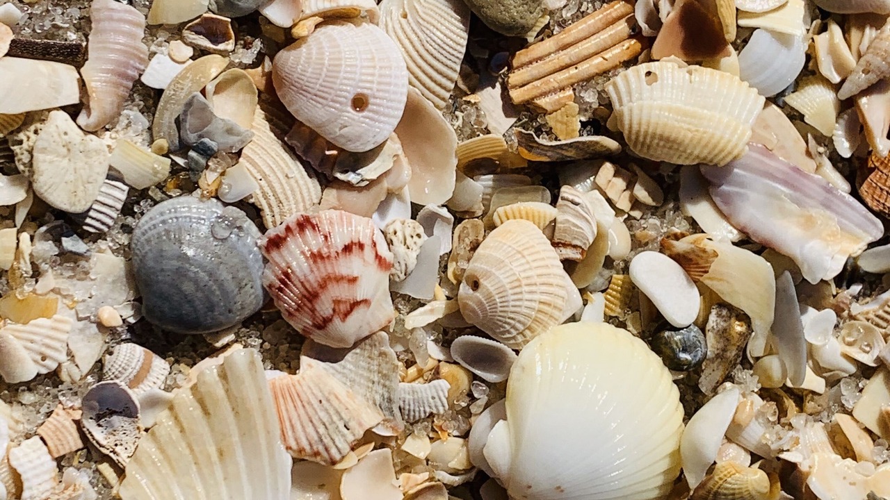 Photo of Others in Long Beach
