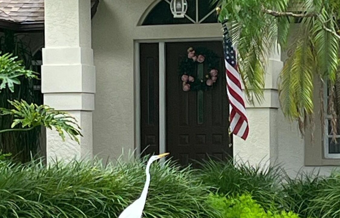 Photo of Outdoor in Palm River Estates