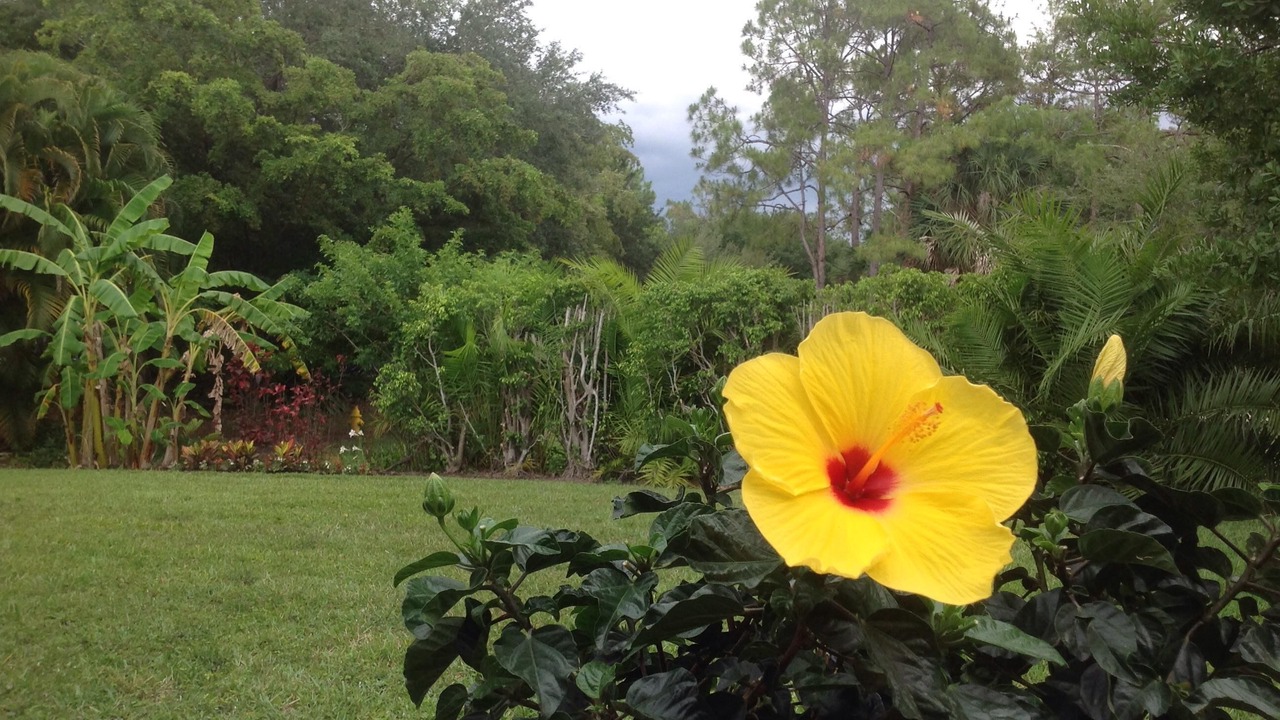 Photo of Others in Palm River Estates