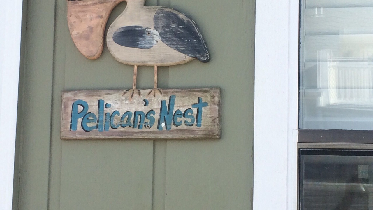 Photo of Outdoor in Cape San Blas
