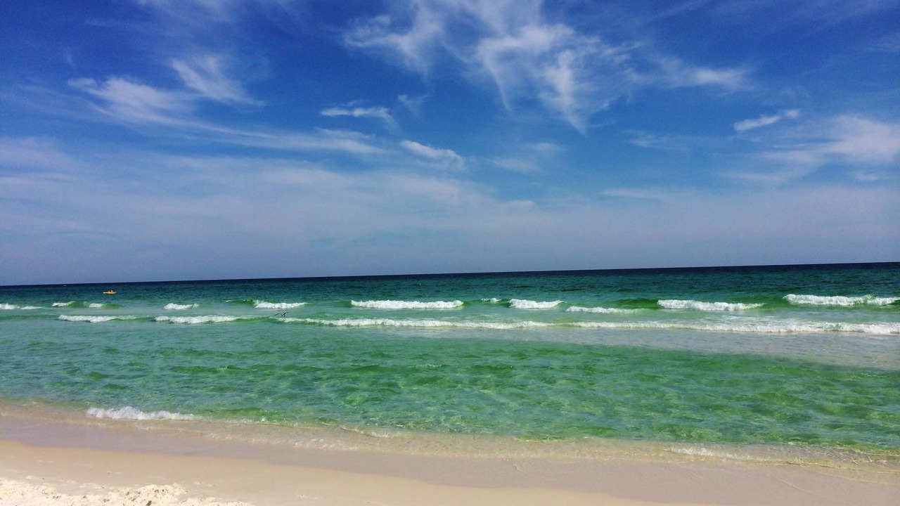 Photo of Others in Dune Allen Beach