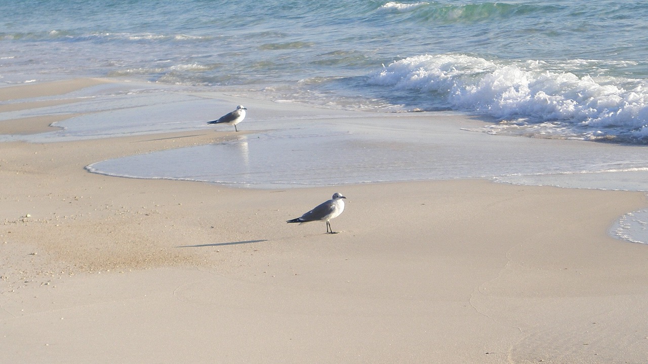 Photo of Others in Lower Grand Lagoon