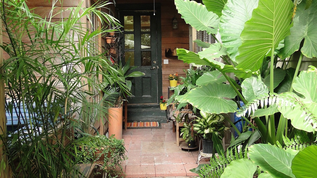 Photo of Others in Faubourg Marigny