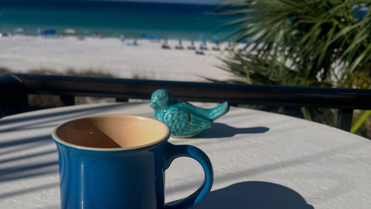 Photo of Others in Gulf Lagoon Beach