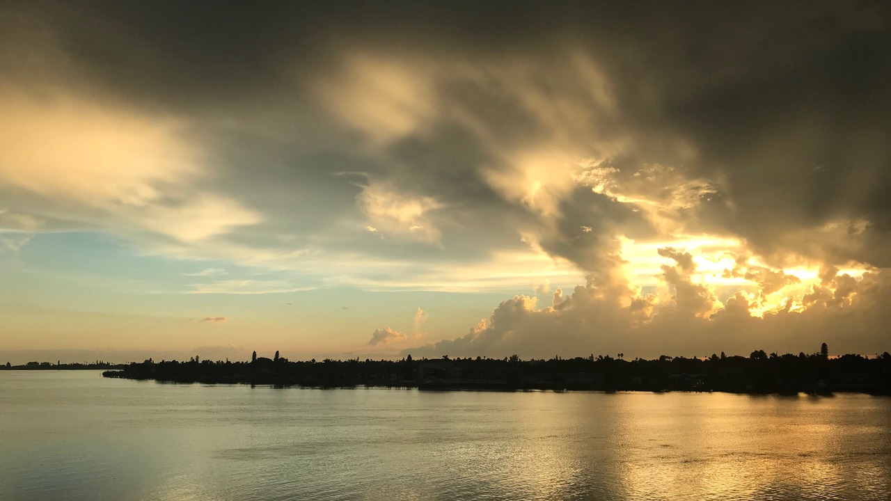 Photo of Others in St. Petersburg
