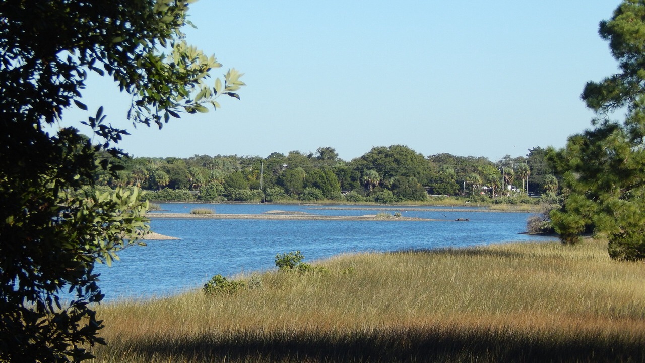Photo of Others in Cedar Key