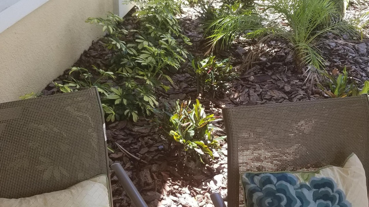 Photo of Outdoor in Sunset Lakes