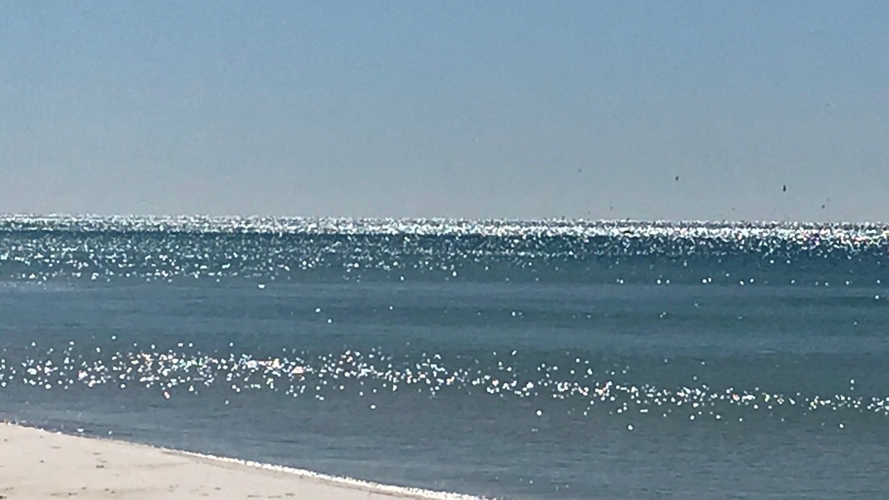 Photo of Others in Seacrest