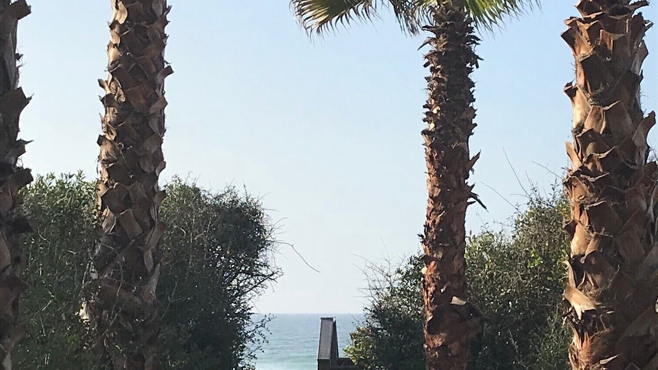 Photo of Others in Seacrest