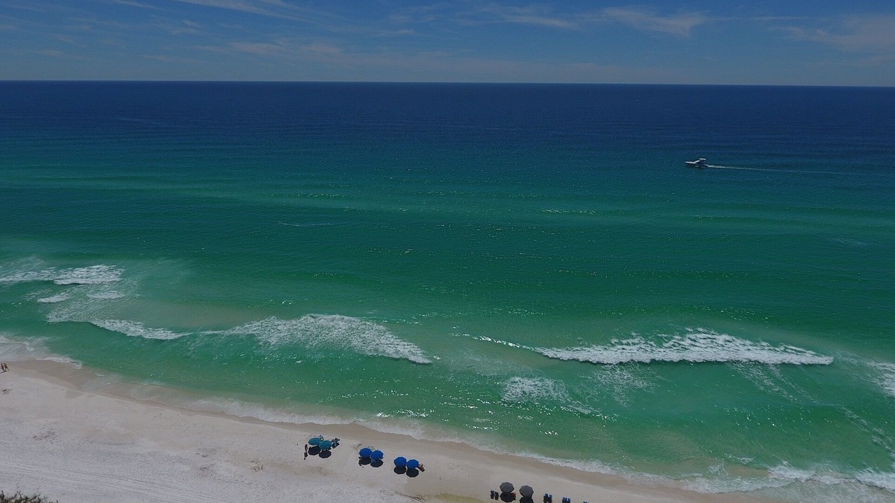 Photo of Others in Santa Rosa Beach