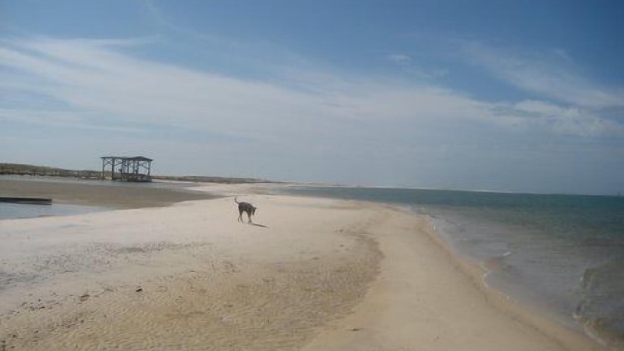 Photo of Others in Dauphin Island