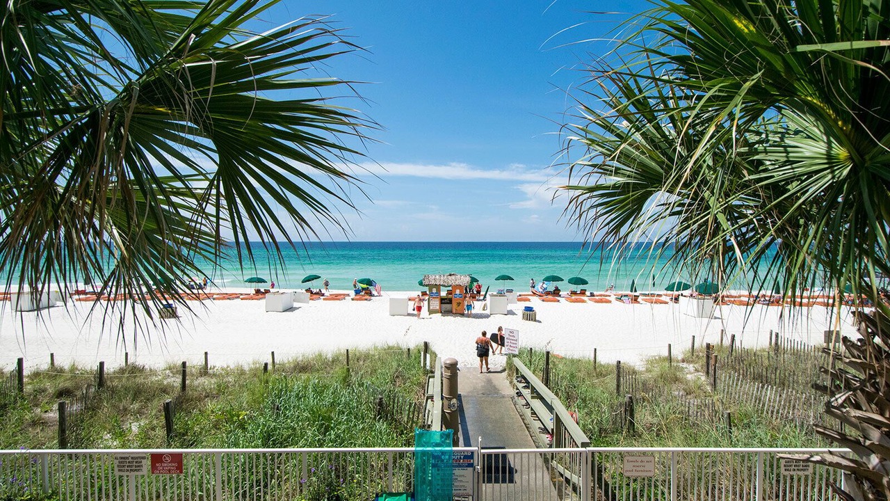 Photo of Others in West Panama City Beach