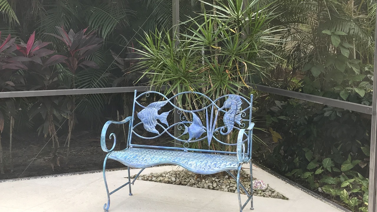 Photo of Outdoor in East Naples
