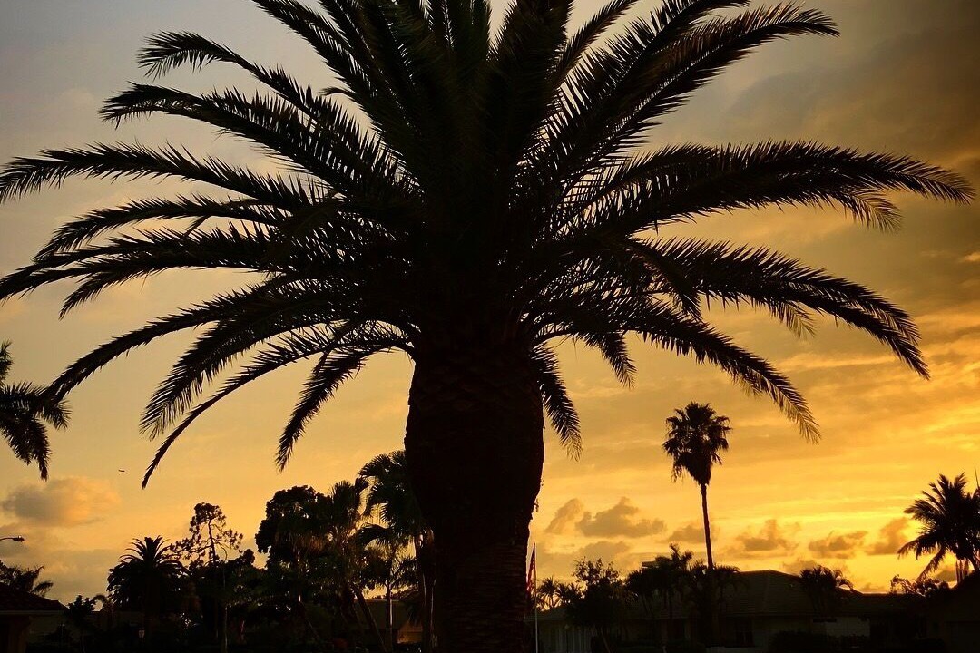Photo of Others in East Naples