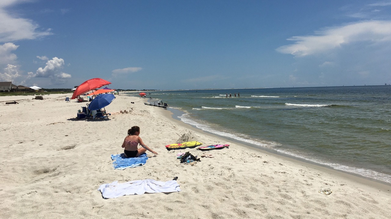 Photo of Others in Dauphin Island