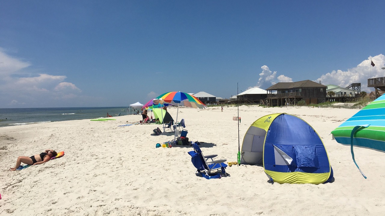 Photo of Others in Dauphin Island