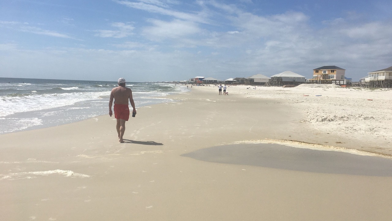 Photo of Others in Dauphin Island