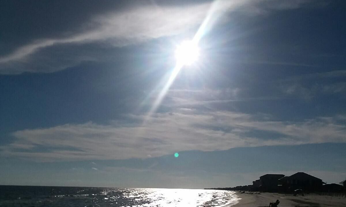 Photo of Others in Dauphin Island