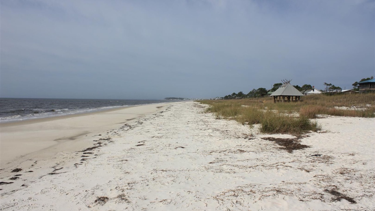 Photo of Others in Alligator Point