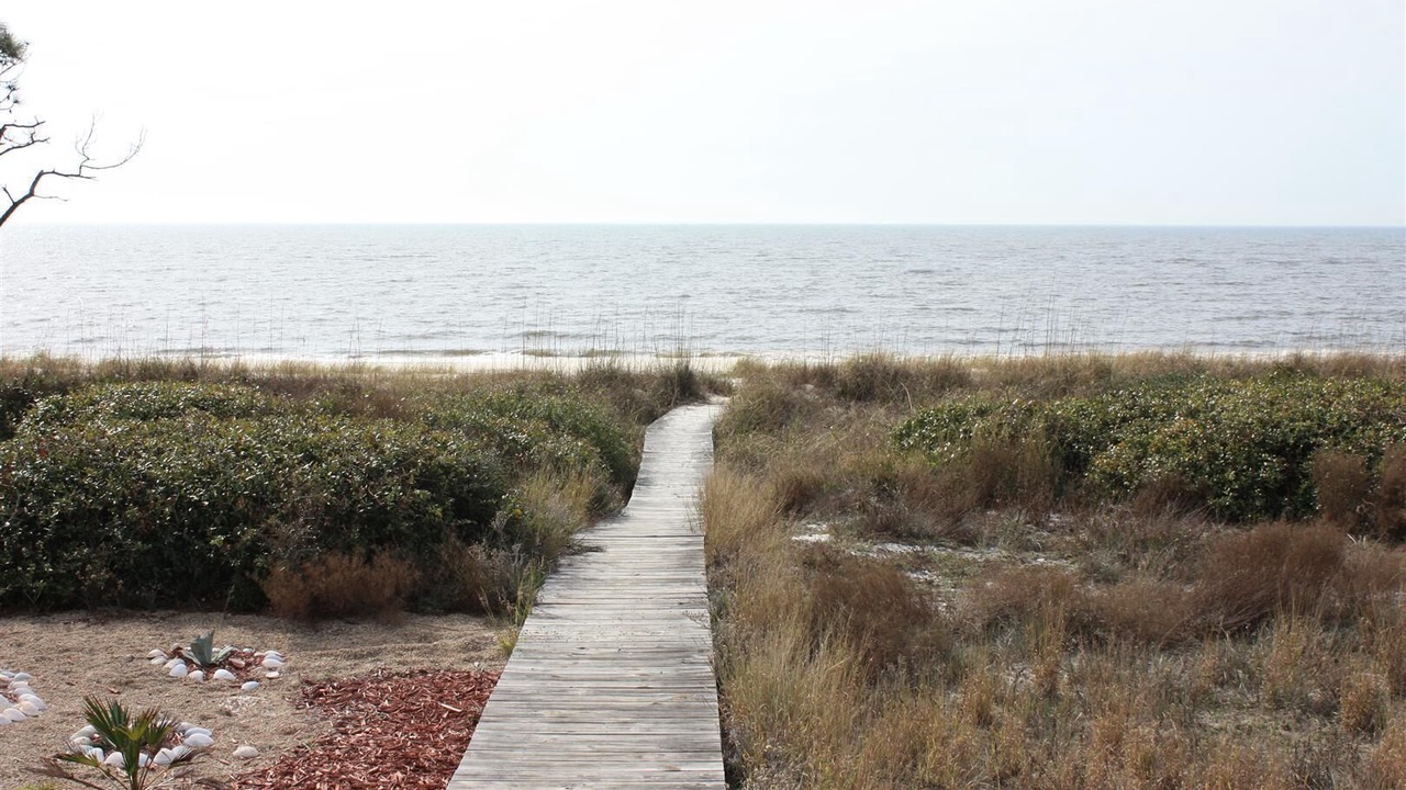 Photo of Others in Alligator Point
