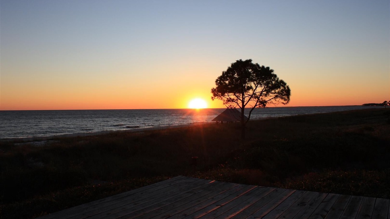 Photo of Others in Alligator Point