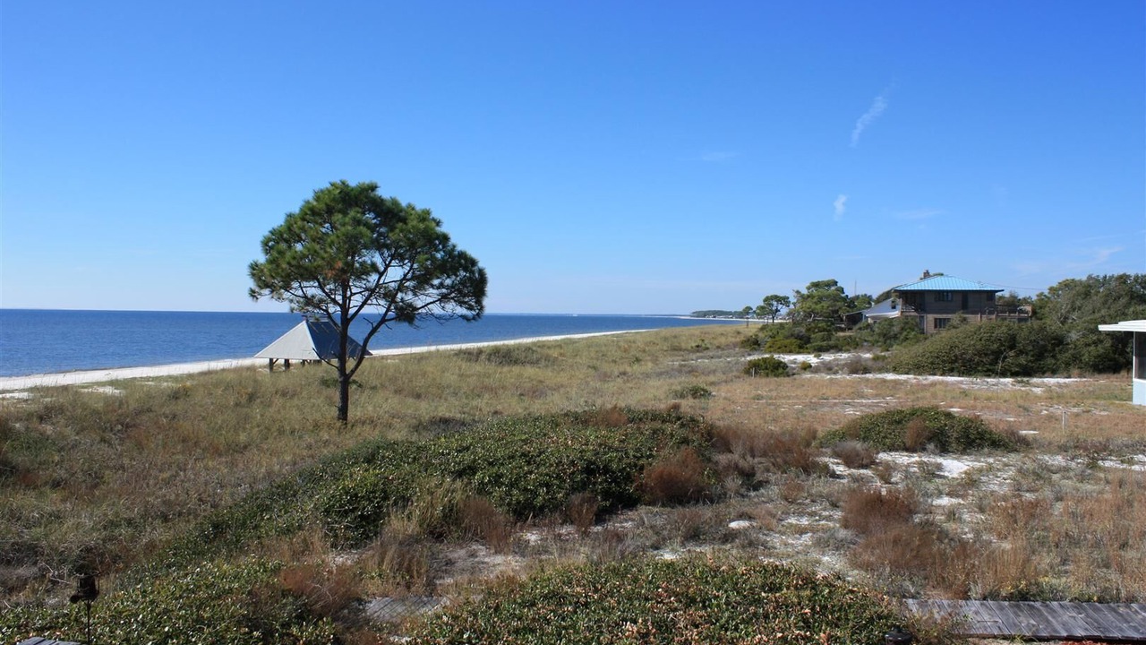 Photo of Others in Alligator Point