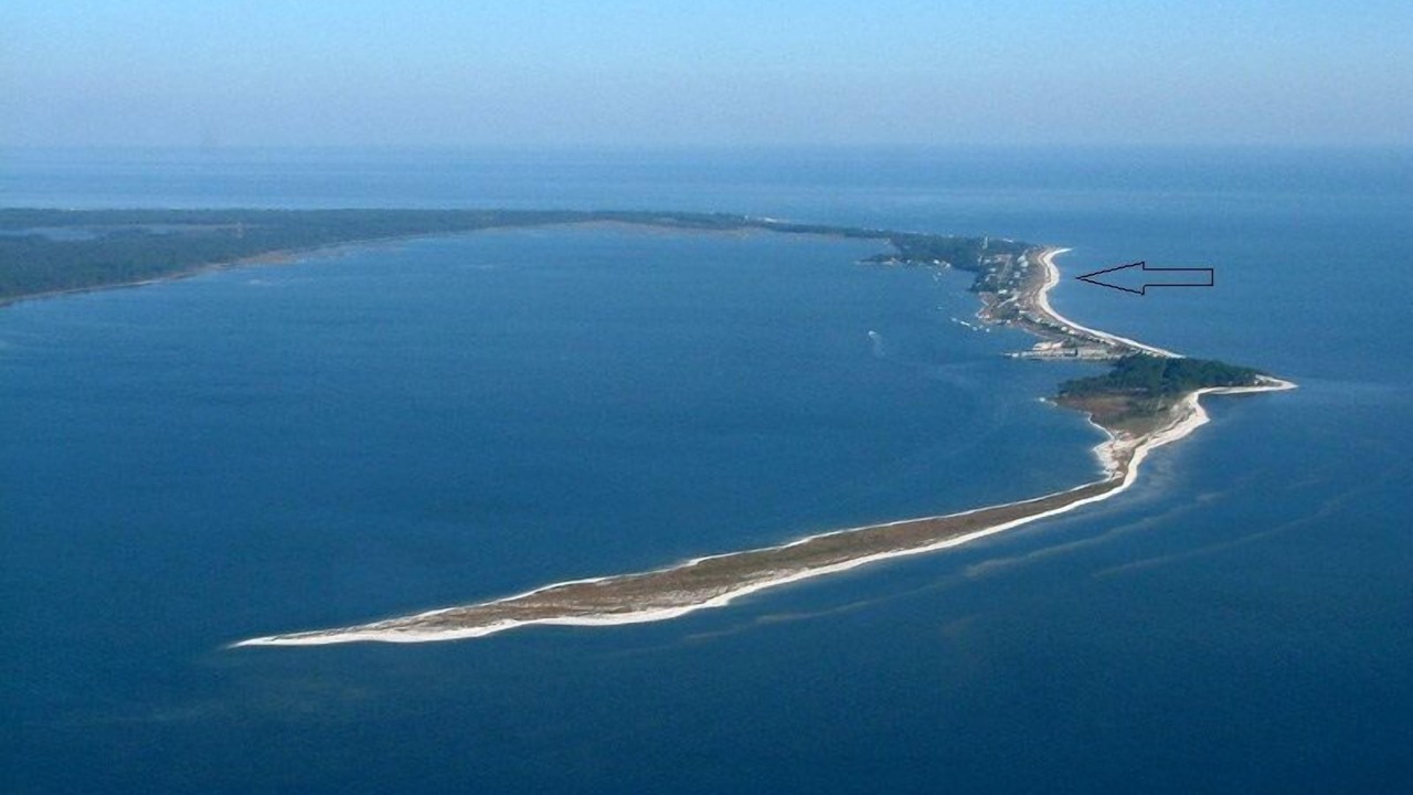Photo of Outdoor in Alligator Point