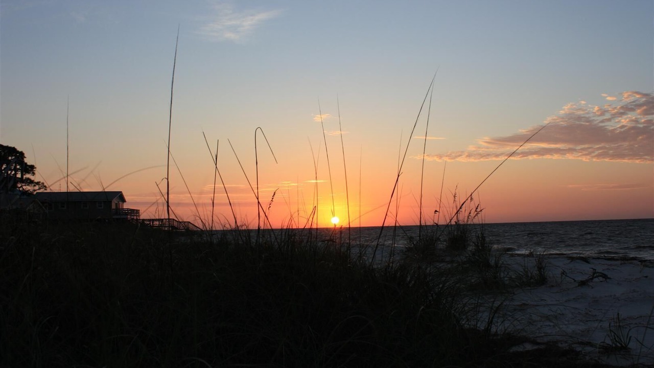 Photo of Others in Alligator Point