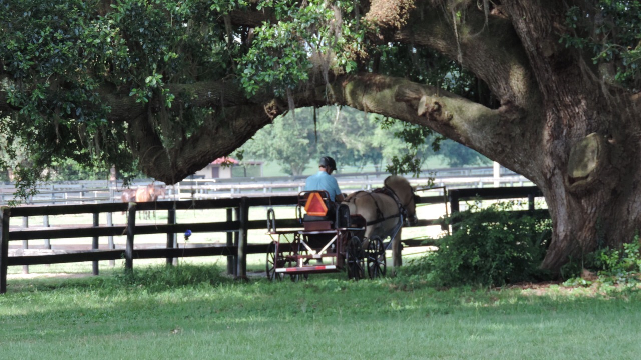 Photo of Others in Fellowship
