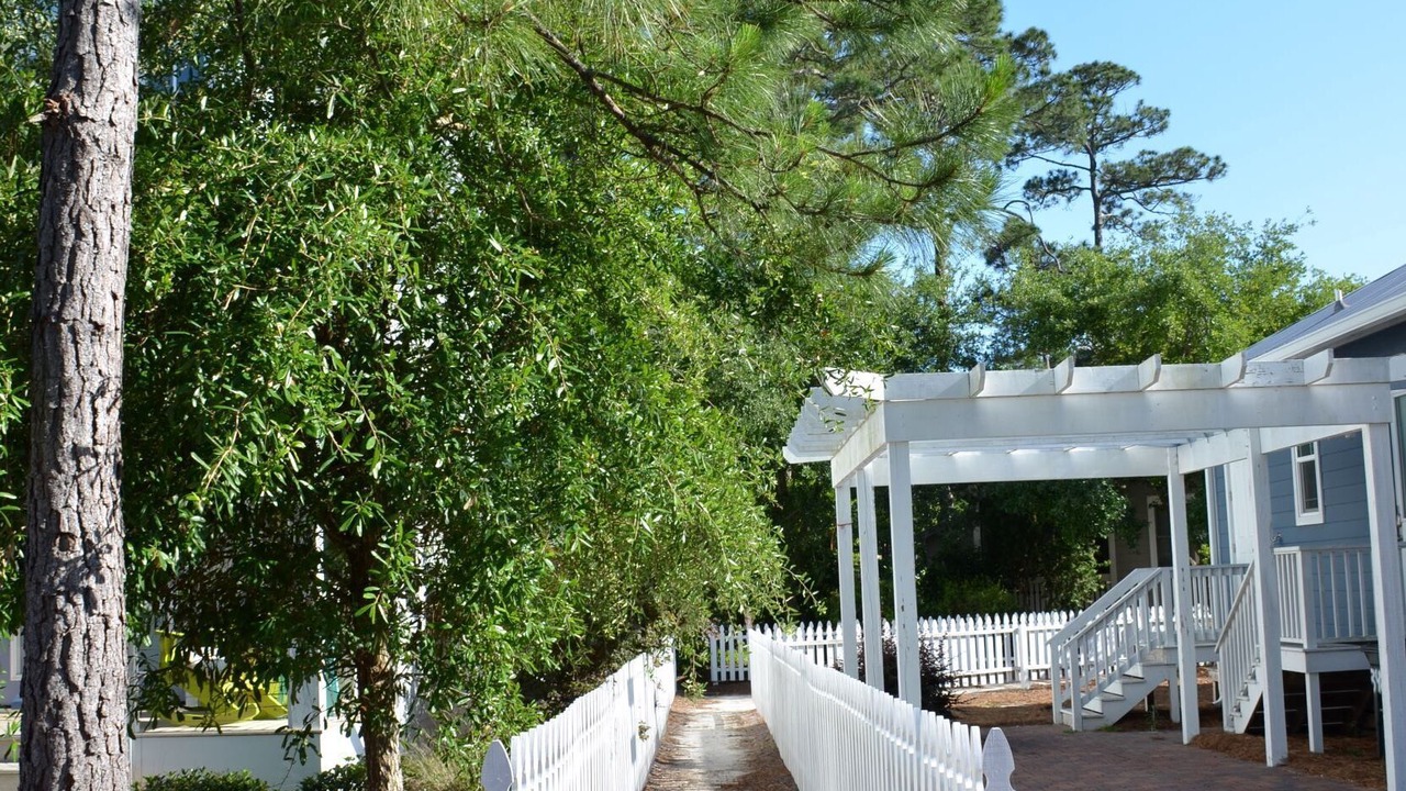 Photo of Outdoor in Seagrove Beach