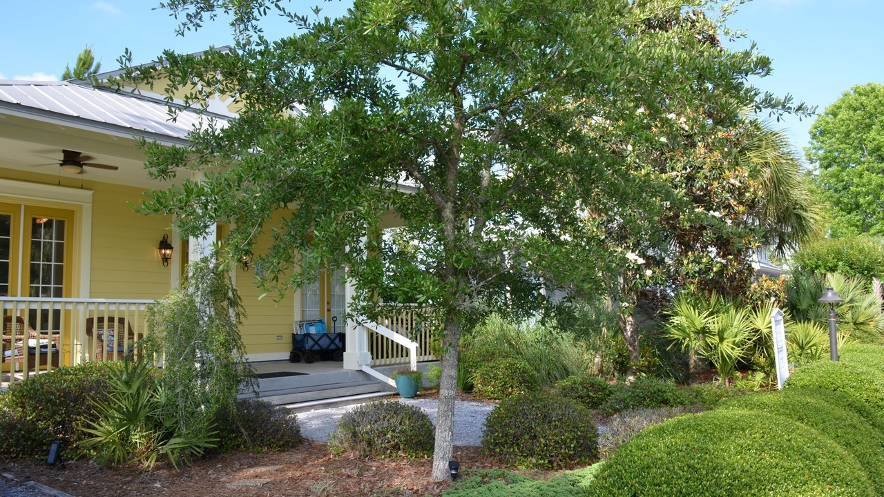 Photo of Outdoor in Seagrove Beach