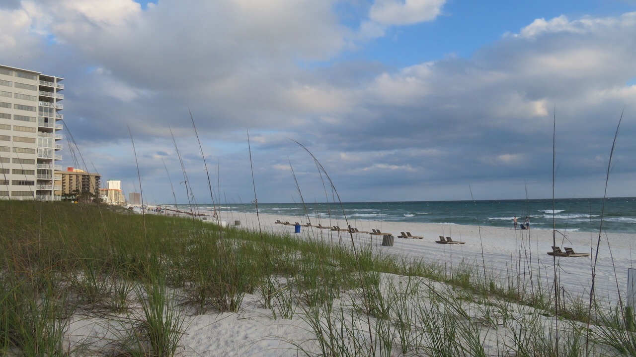 Photo of Others in Gulf Lagoon Beach
