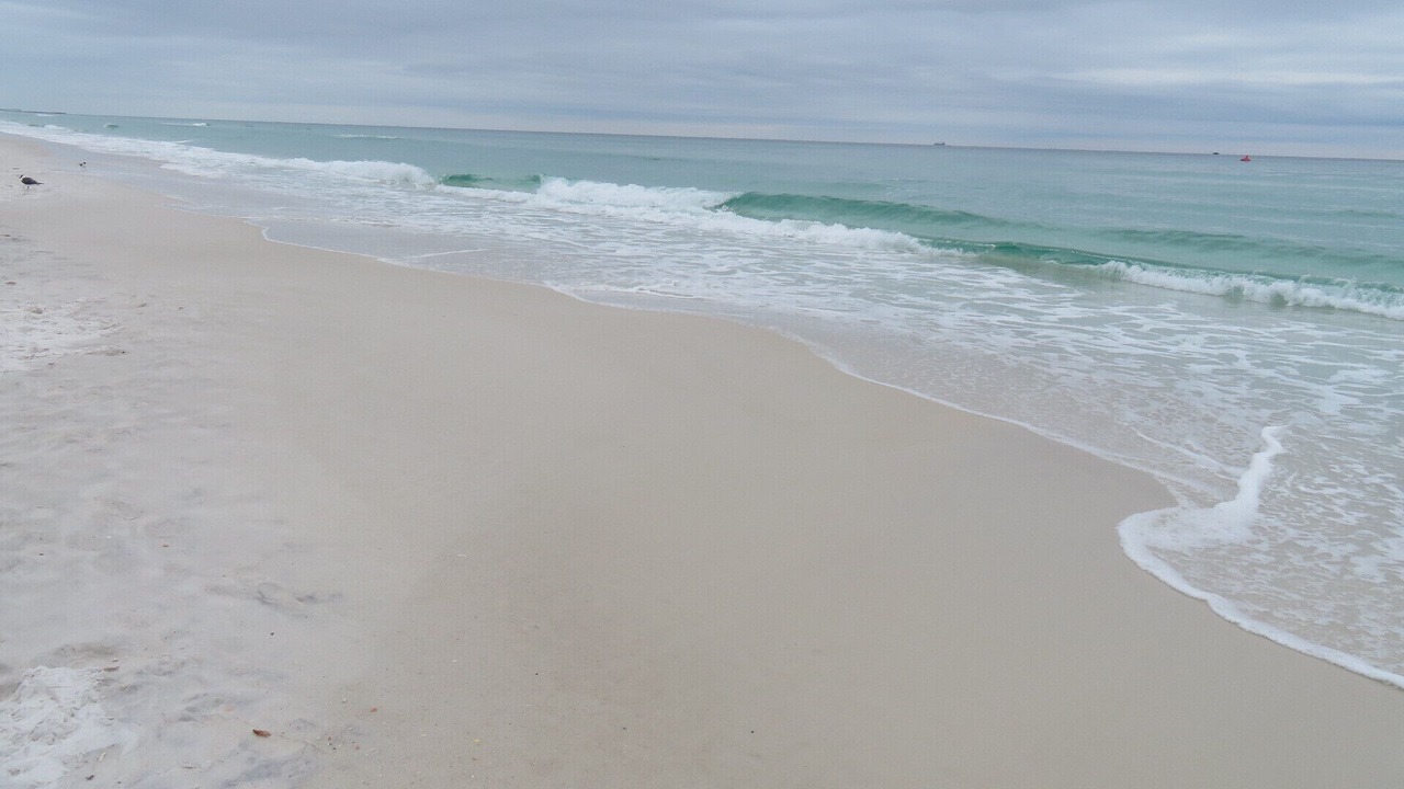 Photo of Others in Gulf Lagoon Beach