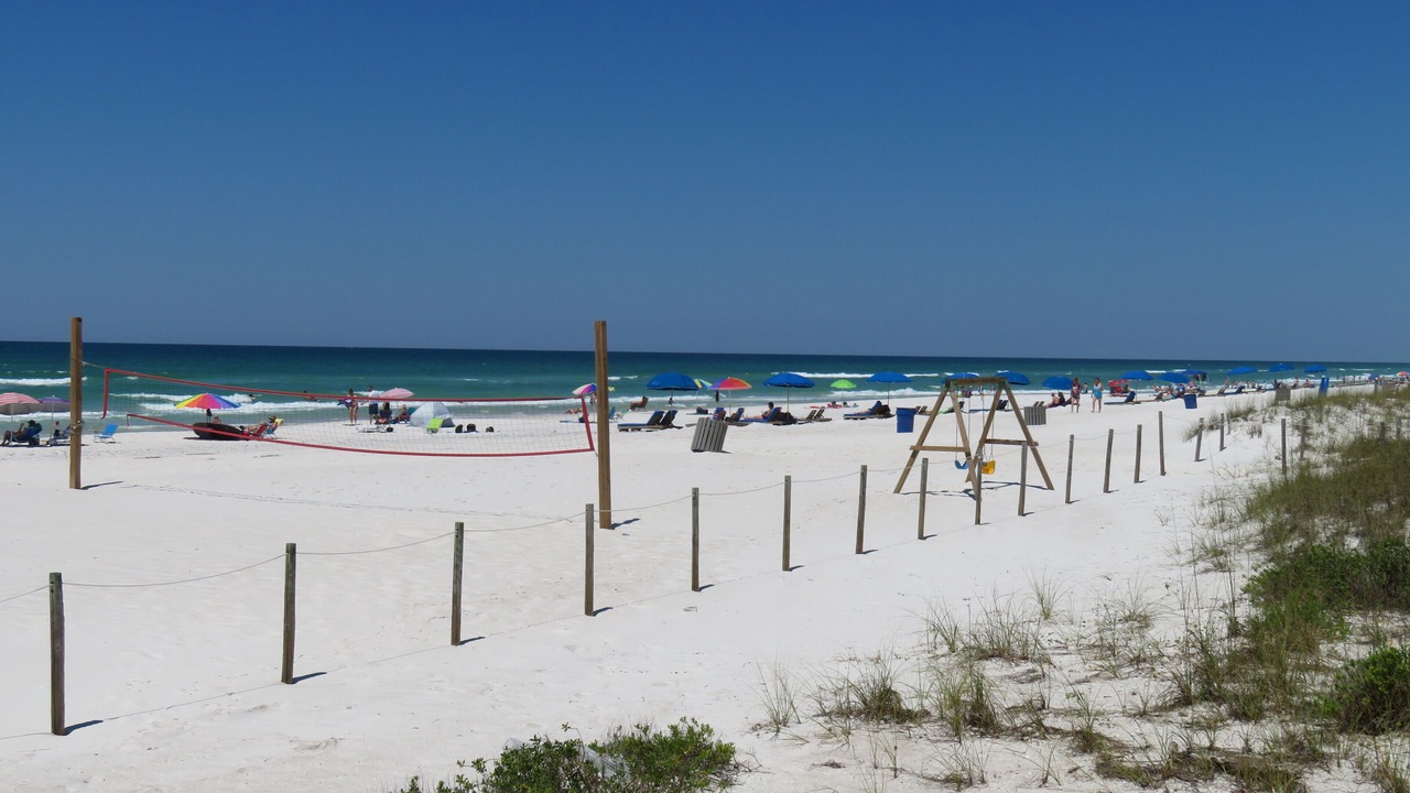 Photo of Others in Gulf Lagoon Beach