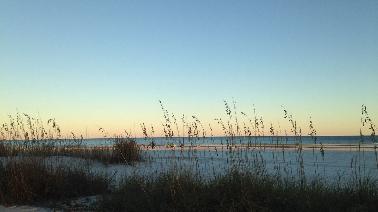Photo of Others in Waveland