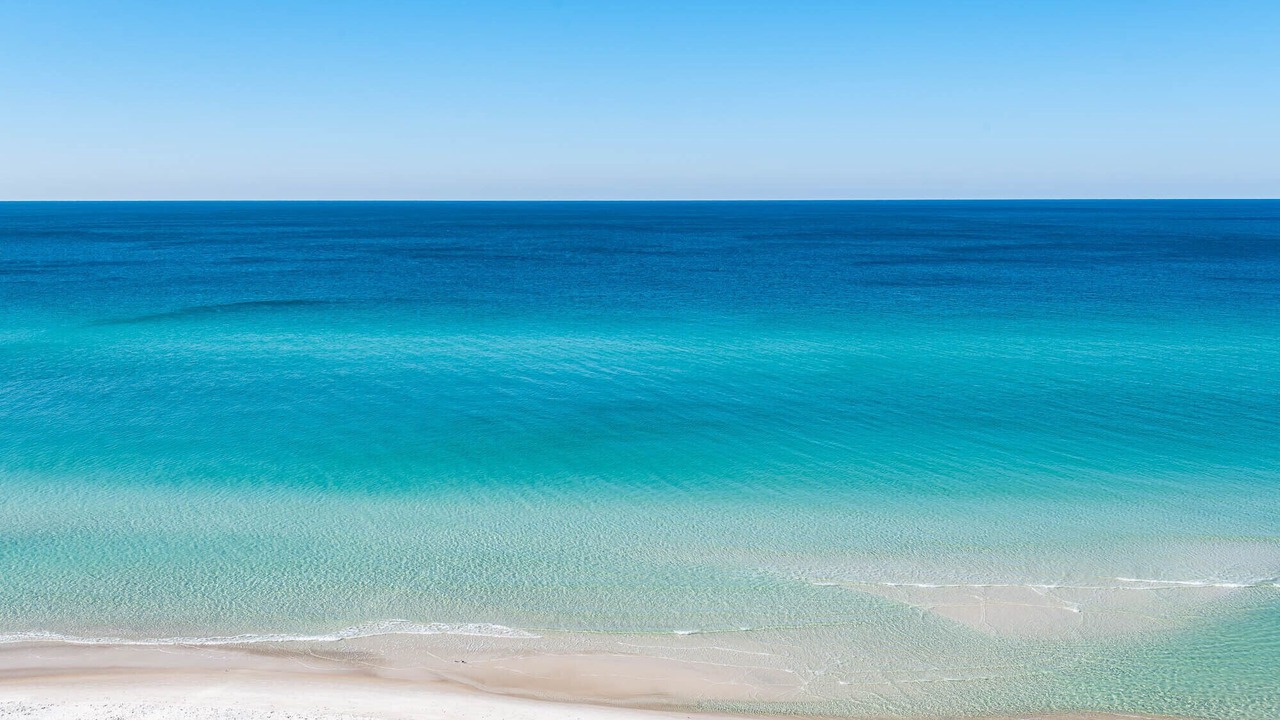 Photo of Others in Panama City Beach